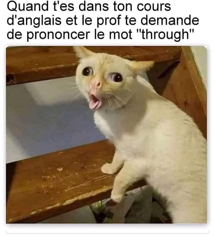 OpalePublic's tweet photo. 😂😂😂 https://t.co/DuWHerwpAs