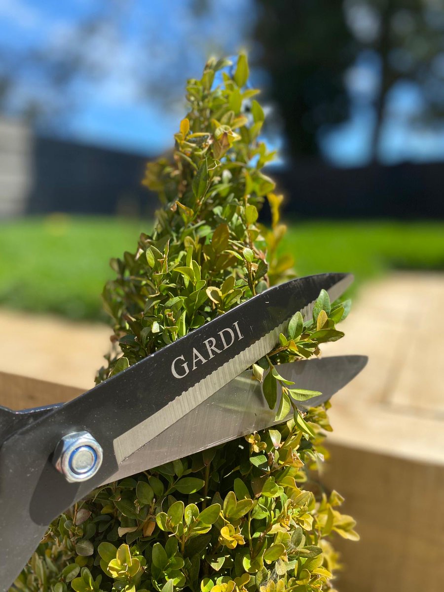 #Amazonschoice for #gardenshears

#prime

Visit amazon.co.uk/dp/B07KRDR89Z?…

#garden #GardeningTwitter #gardening