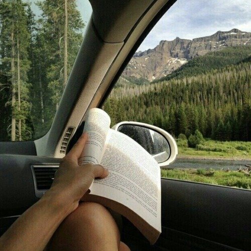 aestheticspost_'s tweet photo. adventure. https://t.co/vcnDkLVffF