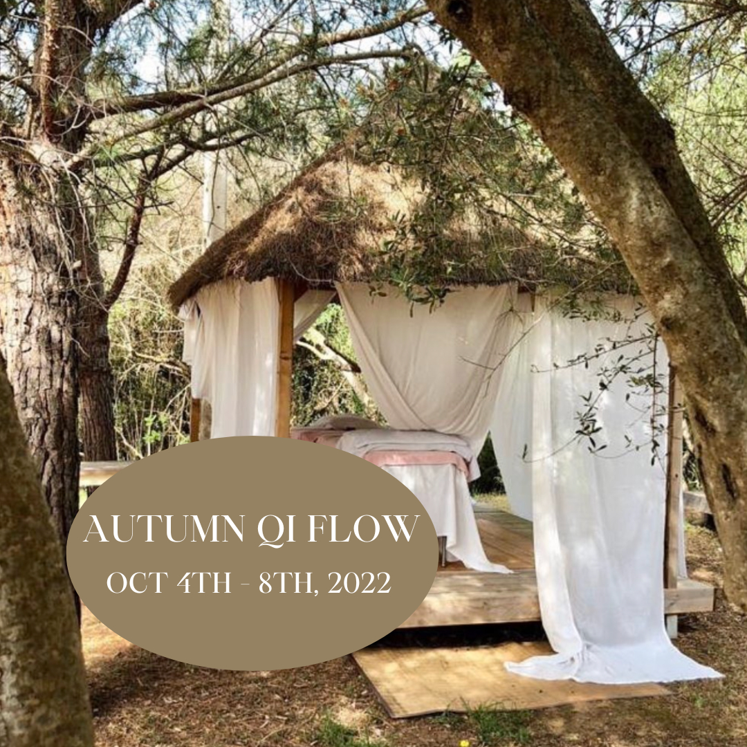 EscapadaRetreat's tweet photo. 📣 Autumn Qi Flow, Mallorca |  LIMITED SPACES LEFT 

Feel like an immersive health experience?  ✨
Combining the synergy of Chinese Medicine and Gut Healing Foods, this 4 day retreat hosted by our renowned Escapada Practitioner, Emilia Herting and Claire, is the first-of-its-k https://t.co/pcjVkIeF3q