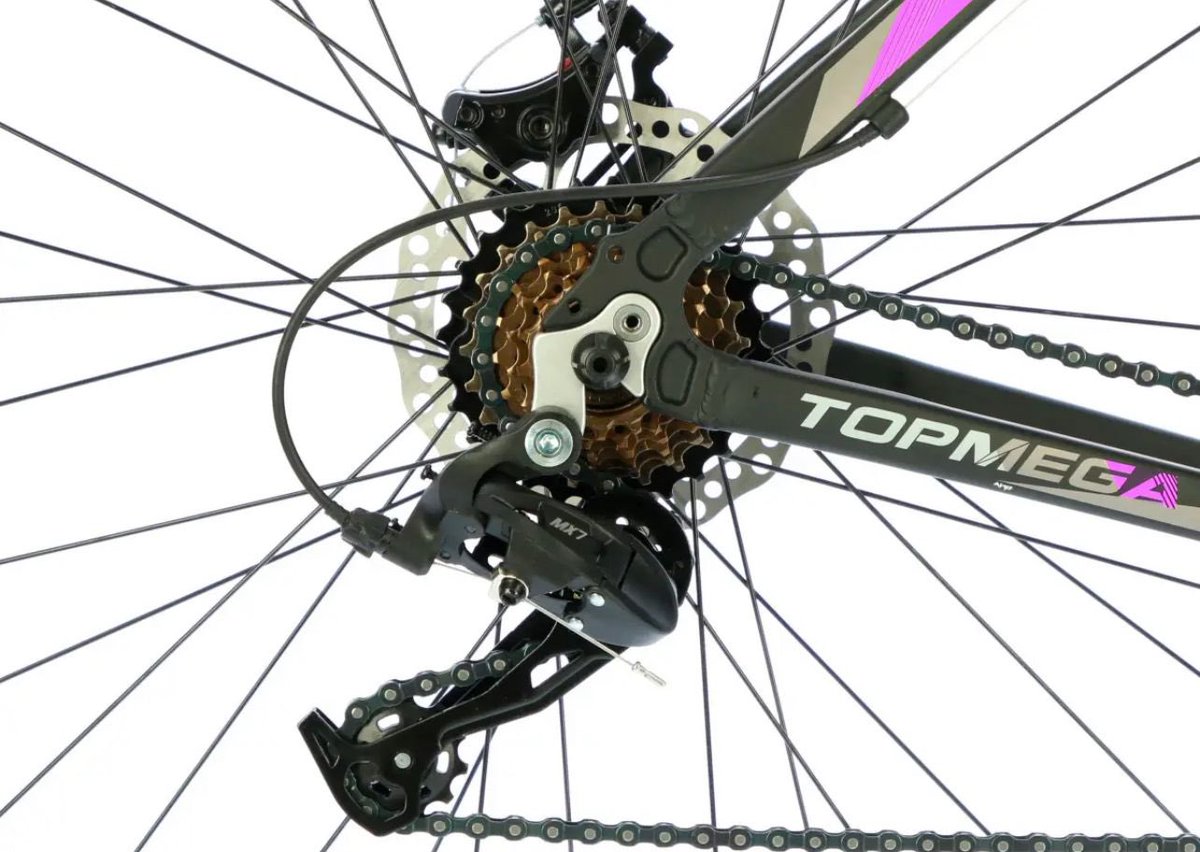 SANTIAGO DEL MORO tweet media