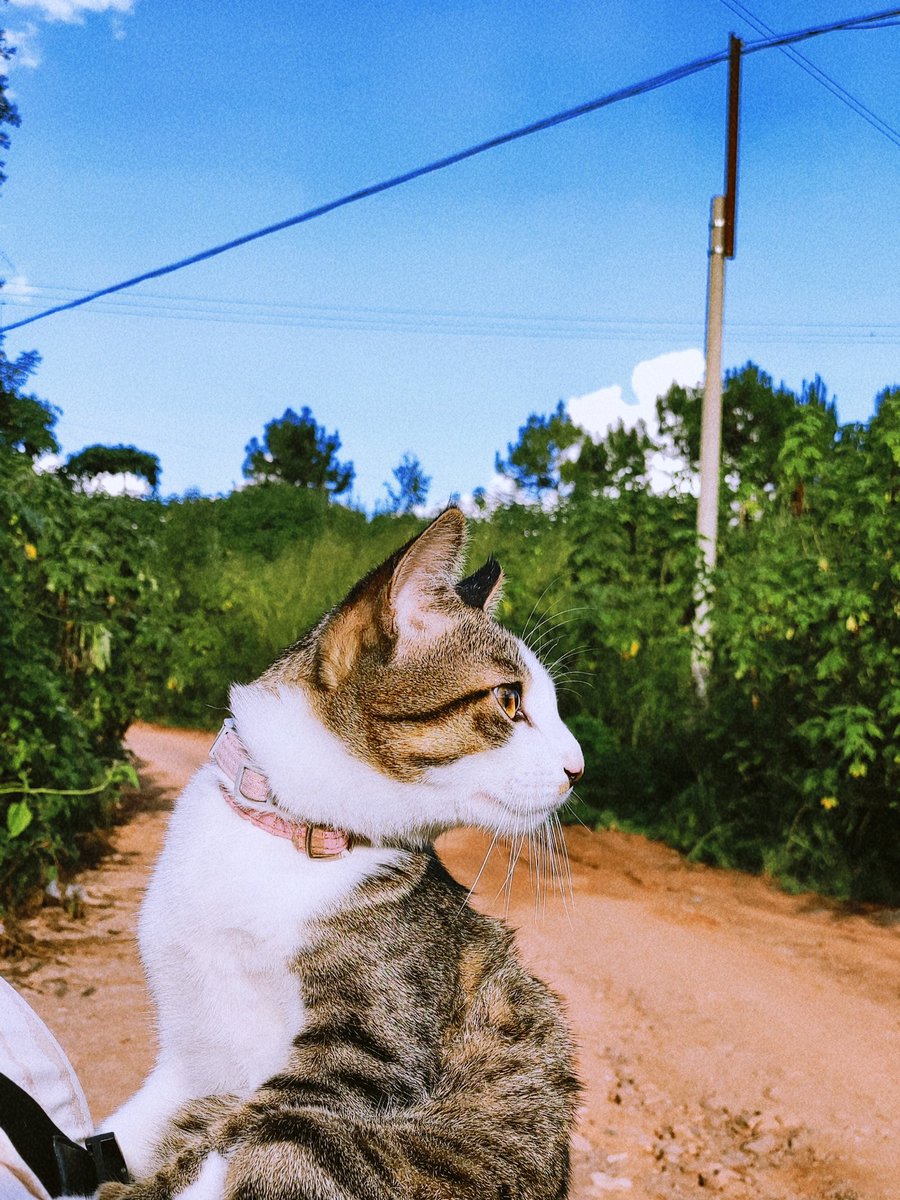 𝙰𝚟𝚎𝚛𝚢 𝚀𝚞𝚒𝚗𝚗 tweet media