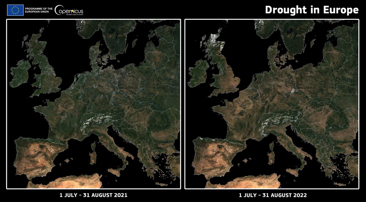 A picture is worth 1000 words.

Europe is facing intense droughts that are only getting worse each year.

This is why we must invest in Nature restoration &amp; halt deforestation.

Let’s put our 🇪🇺 proposals into action without delay. 

It’s our best chance to beat this crisis.