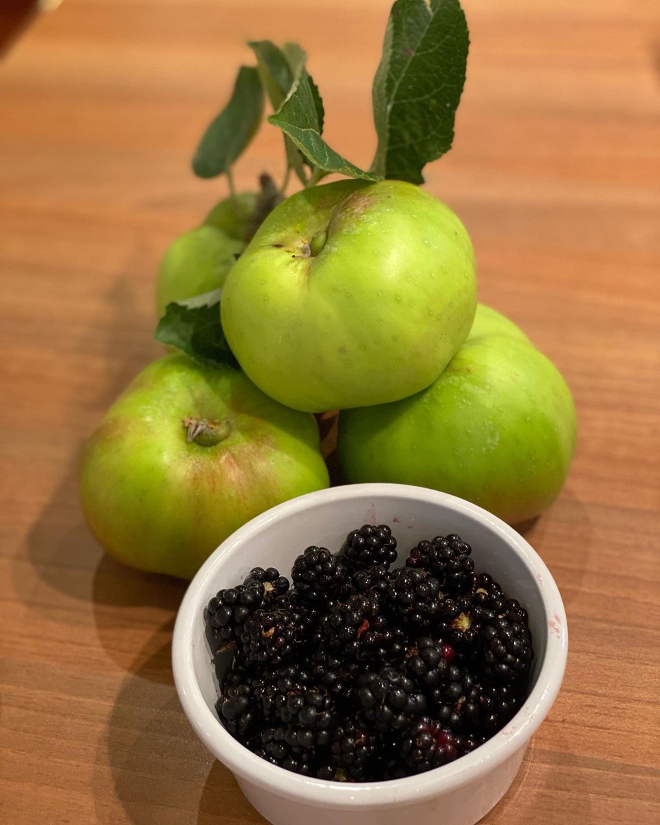 ObloBar's tweet photo. Home grown apples and hand picked brambles packed into today’s sponge…#goodmorning #wednesdayspecial #coffeeisready #fruitsofourlabor #cake #oblobareyemouth #drinkeatshop https://t.co/vq6rKXkola