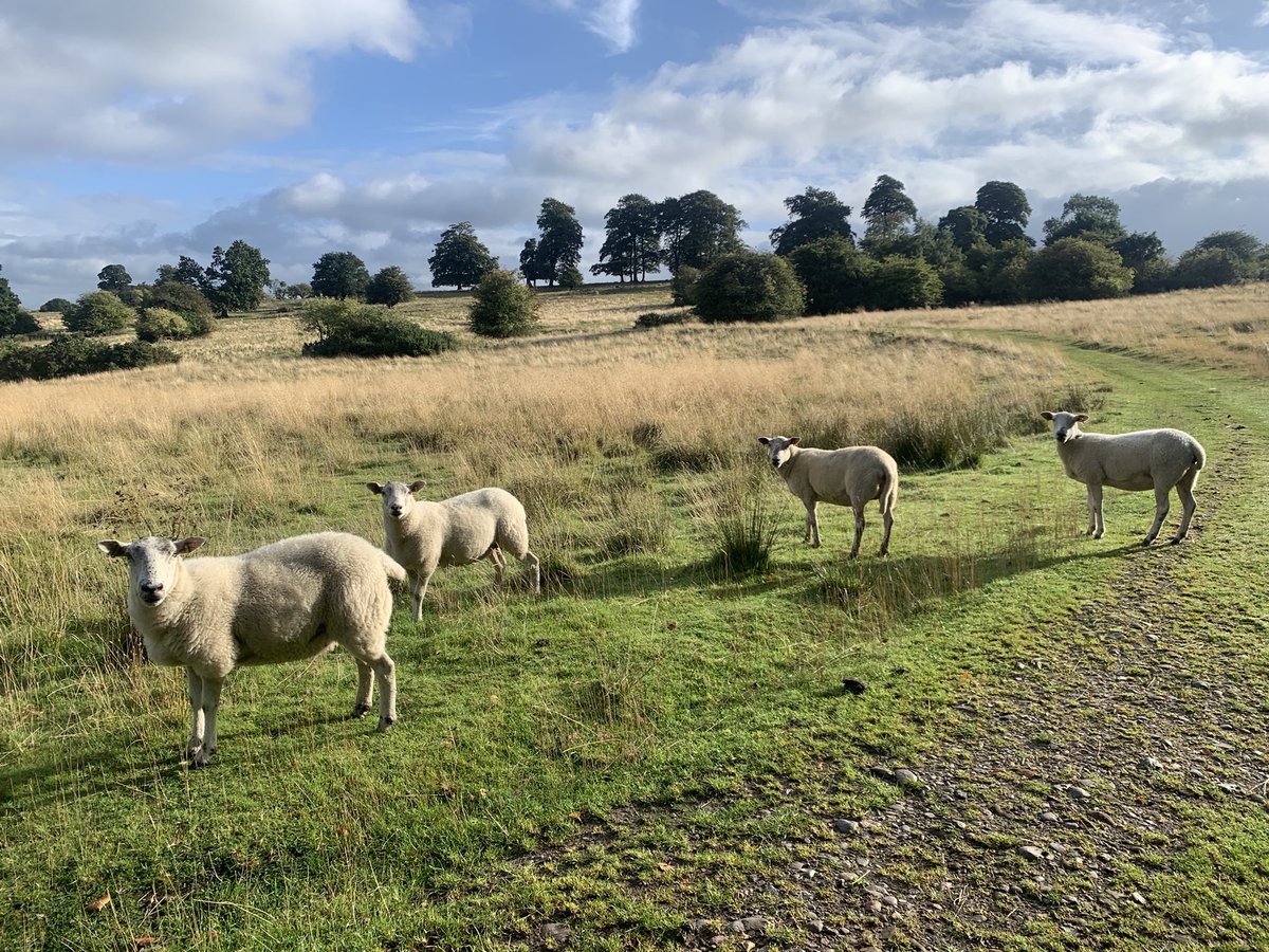 StephenLunt's tweet photo. Getting out for my ‘exercise’ with a run this morning before delivering our #PhysicalActivity v #Exercise workshop this afternoon with @GM_ICP @GreaterSport https://t.co/92l99ftHyH