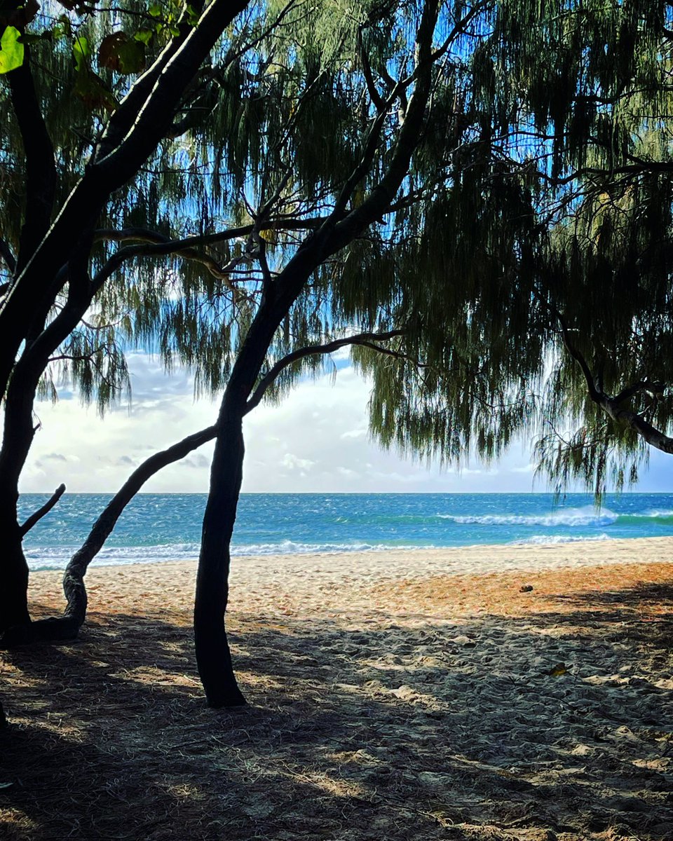 imjustnora's tweet photo. When this #peakerforlife found a ‘wee’ cosy corner here @cityofgoldcoast , what else would she do than to carry out @MyPeakChallenge @fitmooney #yoga and @ehill76 #meditation before embarking on today’s #10000steps #munrostepchallenge #dailywalk 😍
#neverwanttogrowup #lovemyclan https://t.co/UUZO3F0DWi