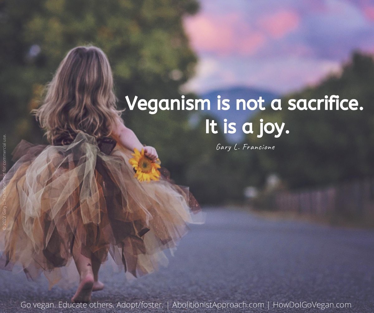 abolitionistapproach.com/effective-anim…