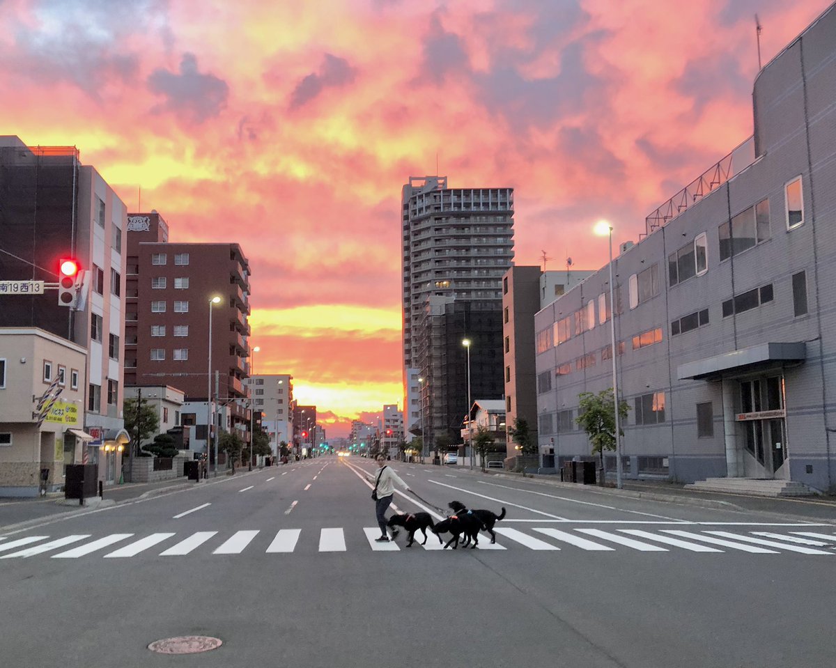4kurolab's tweet photo. 朝4時半
朝焼けの中の散歩 https://t.co/5UiwRrvkmF