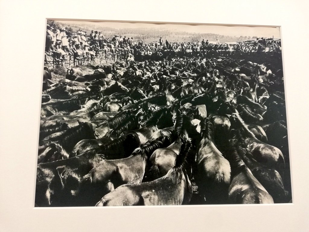 adurden808's tweet photo. Está bonita a expo de foto do cegac https://t.co/5f4oDtqpqz