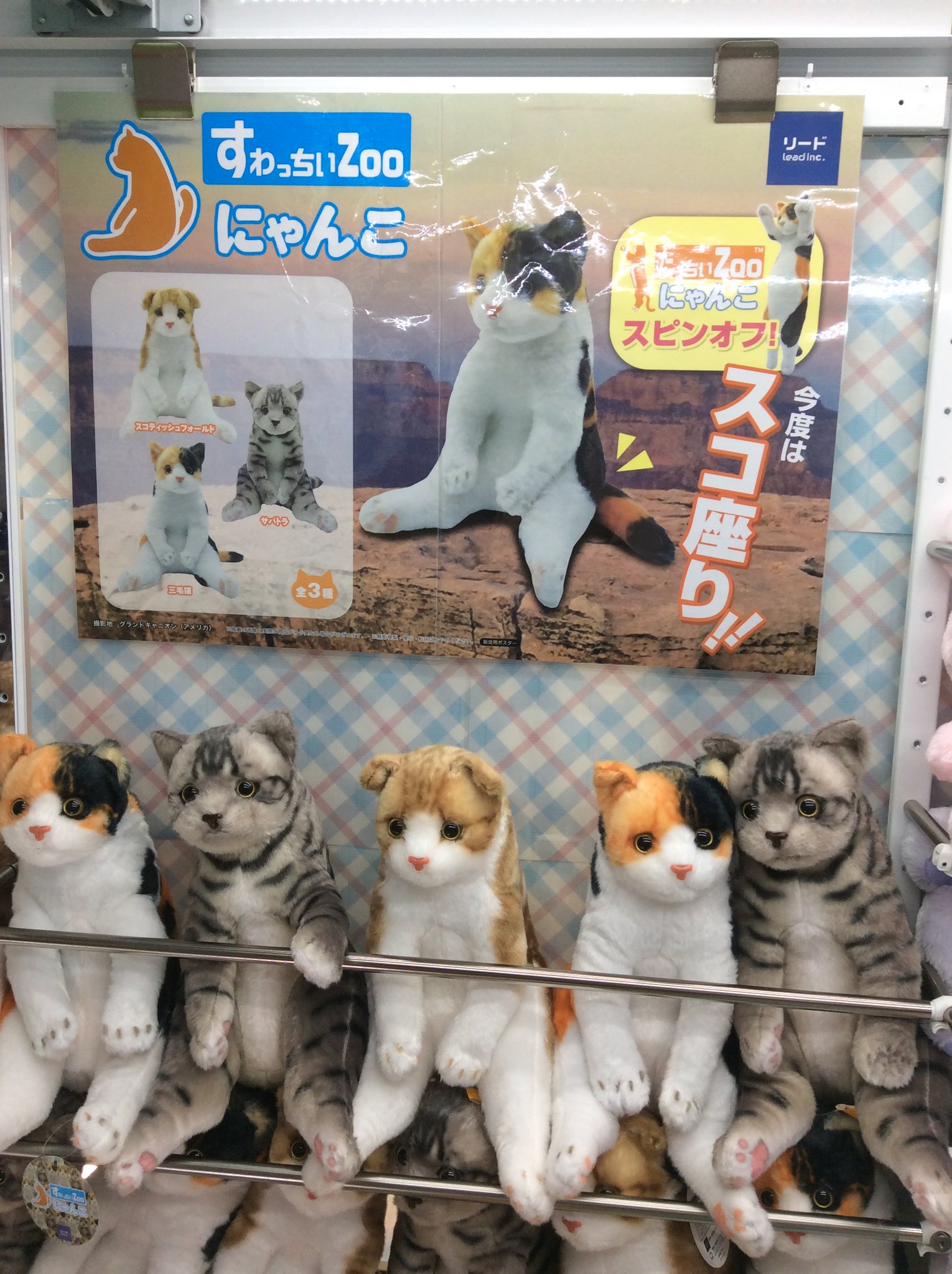 すわっちぃzooにゃんこ 詰め合わせ