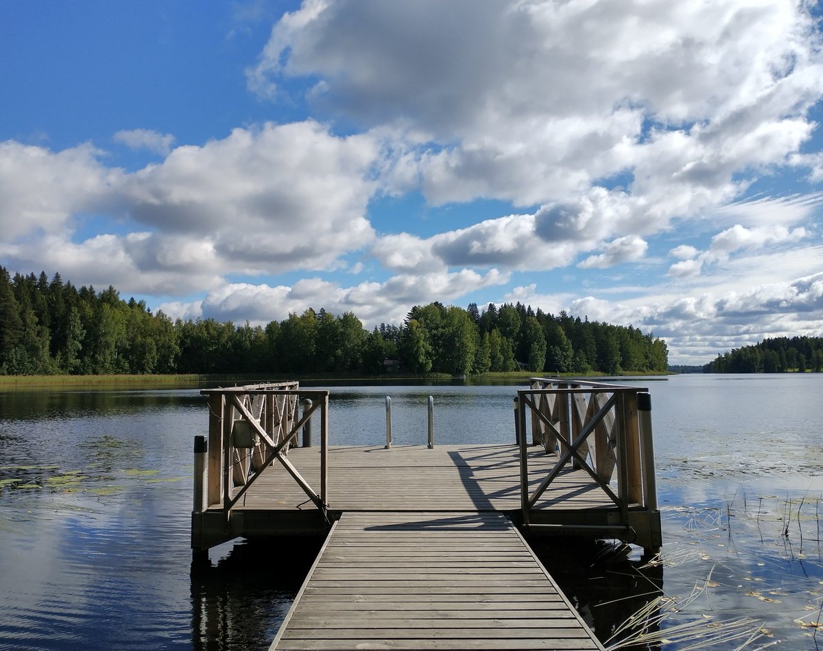 Ali Oghabian tweet media