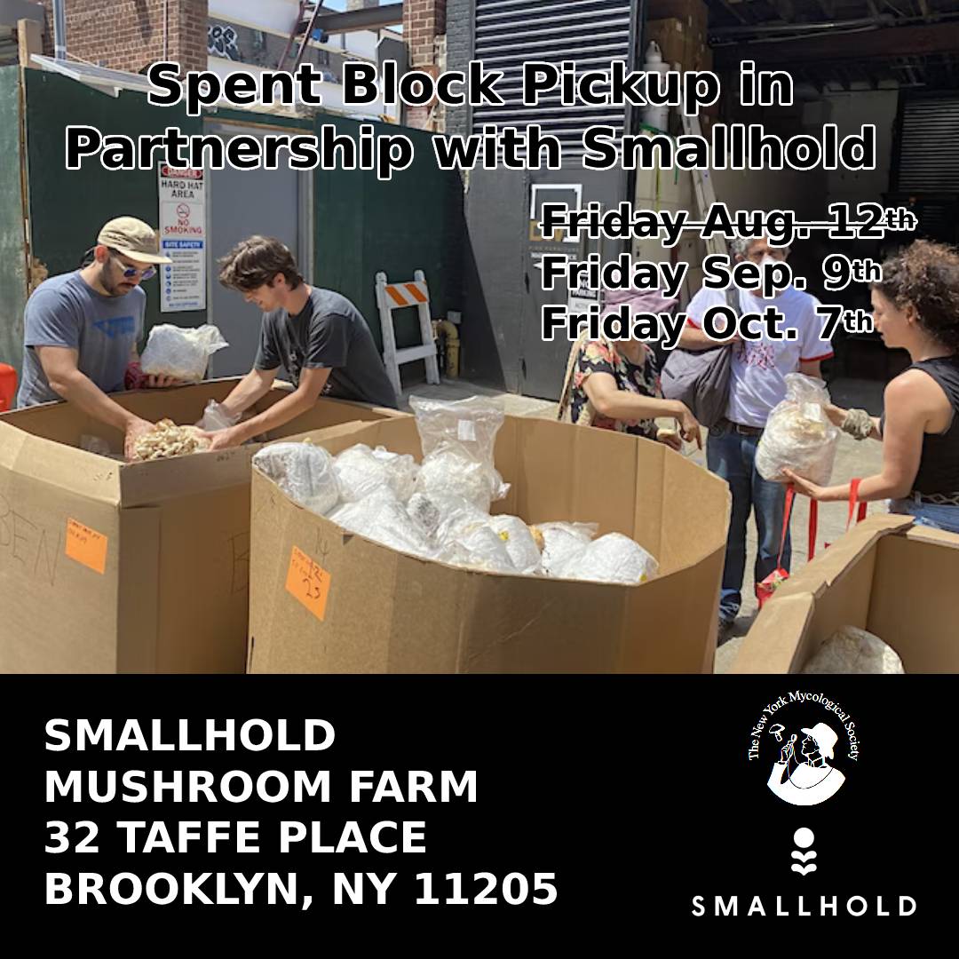 newyorkmyc's tweet photo. Partnered up with @smallhold
to #giveaway #fruitingBlocks.
๐: September 9th, 2022
๐: Smallhold Farm
๐ต: Free
๐: Link in bio
#upcycle #farming #cultivation #fungus #growblock #mushroom #mushrooms #fungi #mycology #NYMS #newyorkmyc #mycologysociety #mycologyclub https://t.co/QnIP8LKUW1