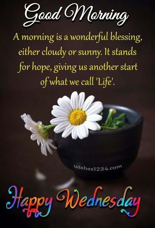 BeMeditating's tweet photo. Good morning https://t.co/dWQmv9b71E