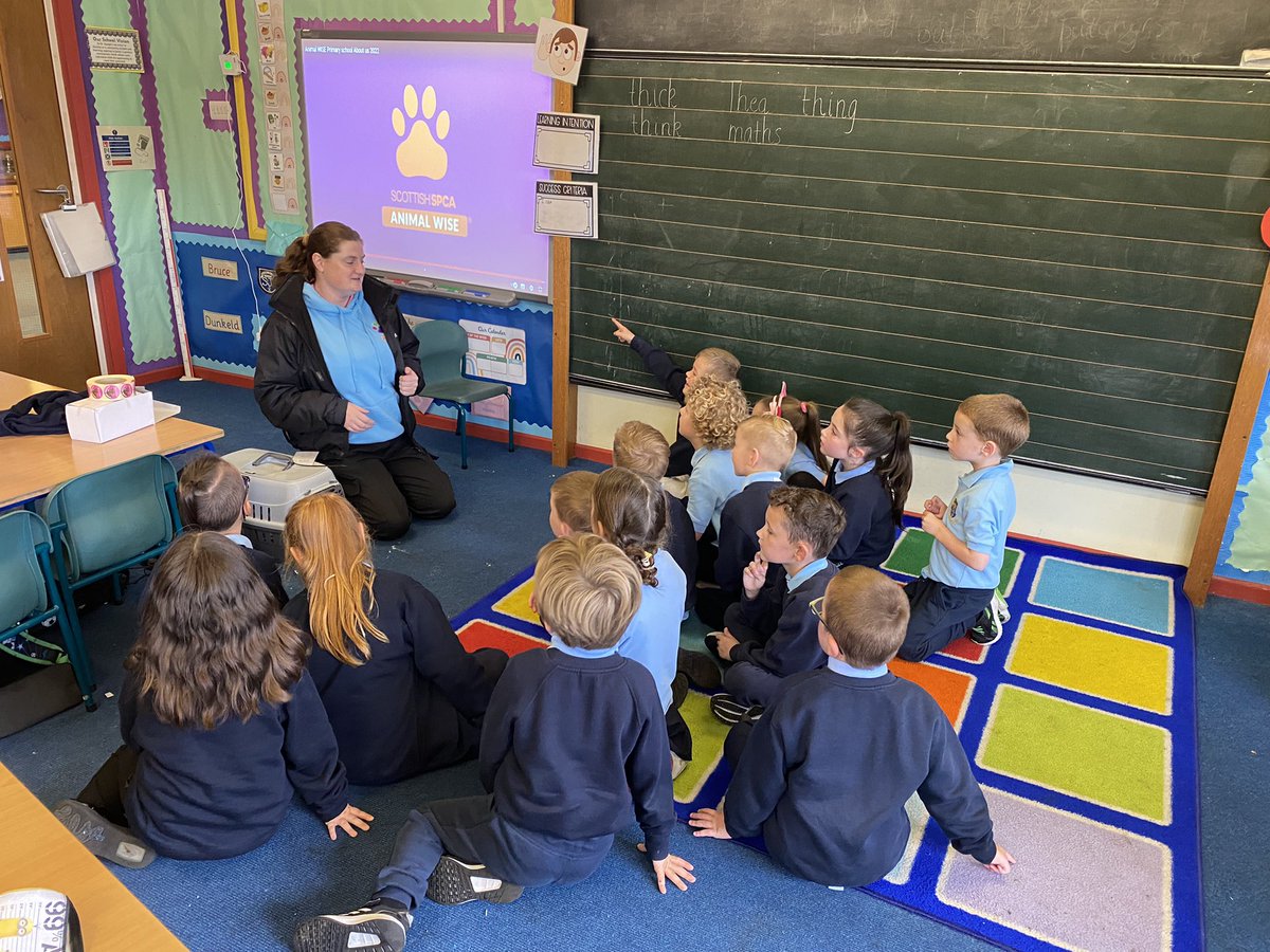 MissNicol24's tweet photo. Primary 2 had a visit from the @ScottishSPCA today. We learned all about how to take care of rabbits and how to keep them happy and healthy #ScottishSPCA #AnimalWISE https://t.co/hxWFefjexW