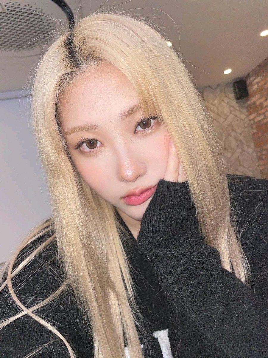 New update for chaein 🏹🧚‍♀️