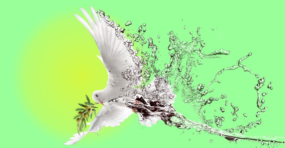 eprestigexyz's tweet photo. @dilonft Fly to PEACE 01-04 
https://t.co/Y1H7dGSf1A https://t.co/HBkDQCQjMP