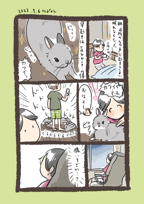 昨日のrabbit…
#うさぎのいる生活 