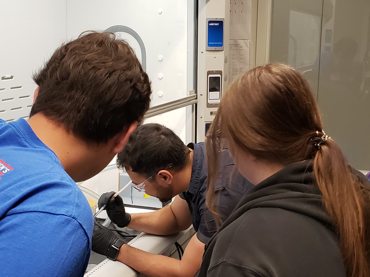 Cbm2Medicine's tweet photo. Ever been interested in the work being done by CBMM? Well, here's your chance! Check out our visiting scholars and center collaboration programs: you can learn more about both of these at https://t.co/MjiLtkDQPz https://t.co/DVqmvGW86L