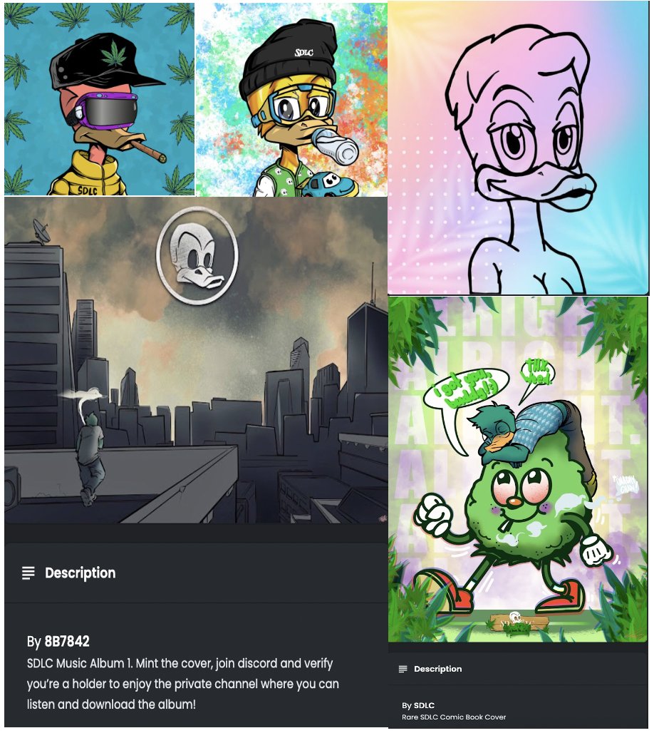 WilsonLunatic's tweet photo. @SDLC420 OG Male, Comic, Music, Merch, Baby Duck and now Female mint! All this in just 3 months! This team doesn't miss! #SDLC #ETHNFT #NFT #NFTs https://t.co/c3VT9MEsIy