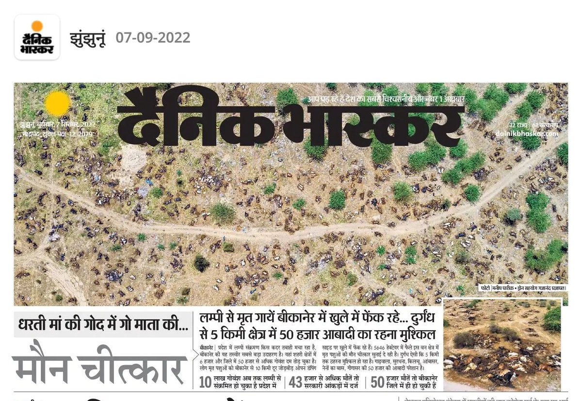 #सरकार_गायों_को_संभालो
#पशुचिकित्साअधिकारीभर्ती2019
<a href="/ashokgehlot51/">Ashok Gehlot</a> <a href="/SachinPilot/">Sachin Pilot</a> <a href="/KatariaLalchand/">Lalchand Kataria</a> <a href="/Dept_of_AHD/">Dept of Animal Husbandry & Dairying, Min of FAH&D</a> <a href="/RajCMO/">CMO Rajasthan</a> <a href="/RajGovOfficial/">Government of Rajasthan</a> <a href="/DrKirodilalBJP/">Dr. Kirodi Lal Meena</a> <a href="/hanumanbeniwal/">HANUMAN BENIWAL</a> <a href="/1stIndiaNews/">First India News</a> <a href="/zeerajasthan_/">ZEE Rajasthan</a> <a href="/News18Rajasthan/">News18 Rajasthan</a> <a href="/ANI/">ANI</a> <a href="/ndtv/">NDTV</a> <a href="/PMOIndia/">PMO India</a> <a href="/RPSC1/">RPSC, Ajmer</a> <a href="/DrSatishPoonia/">Satish Poonia</a> <a href="/BJP4Rajasthan/">BJP Rajasthan</a> <a href="/pantlp/">LP Pant</a>