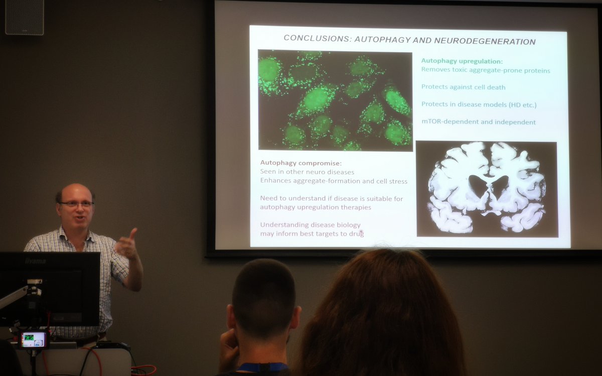 ESGLD_tweets's tweet photo. Now on all-things autophagy, we have the brilliant David Rubinsztein guiding us on a journey that goes all the way from its physiological roles up until its pharmacological modulation for therapeutic purposes 🧐

#ESGLD #GraduateCourse #autophagy #neurodegenerativediseases https://t.co/WOxC1Jz900