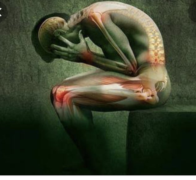 Algunas lecciones se aprenden a través del dolor !!!