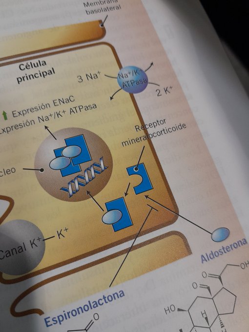 oh my god lads look https://t.co/B7jYmmlhn3