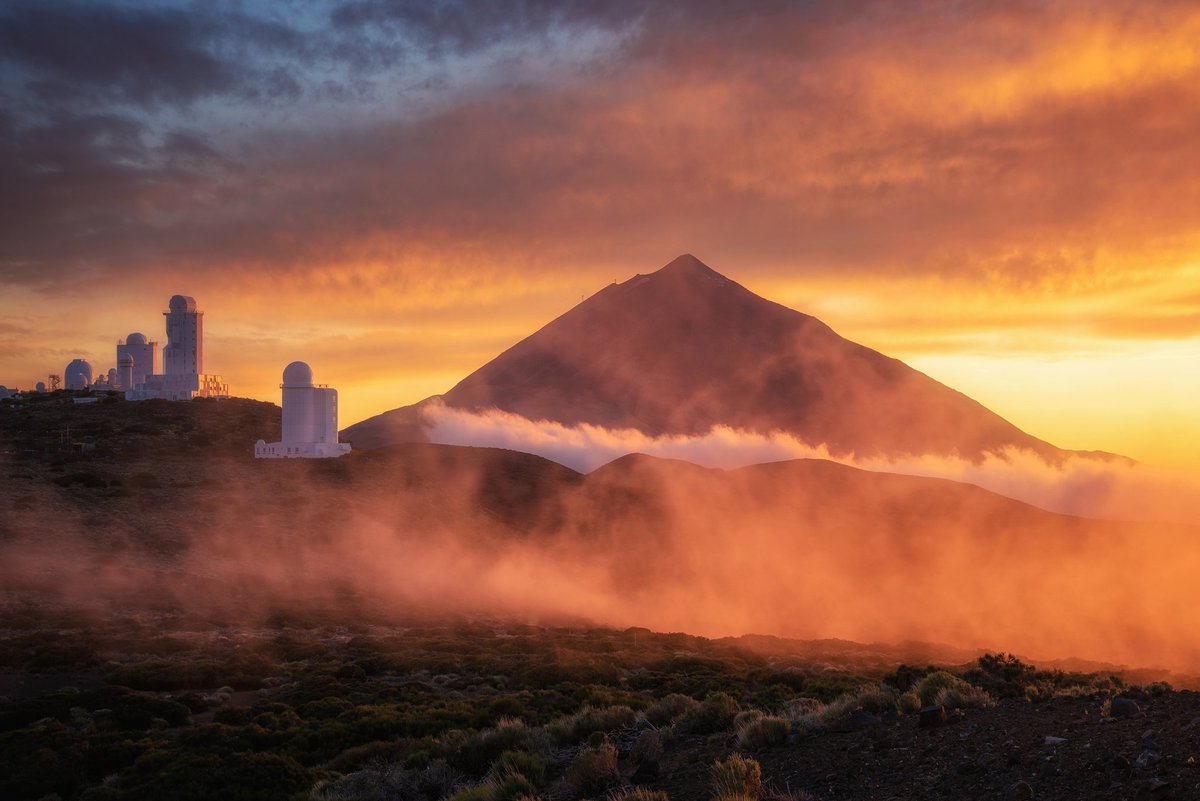 Efrén Yanes tweet media