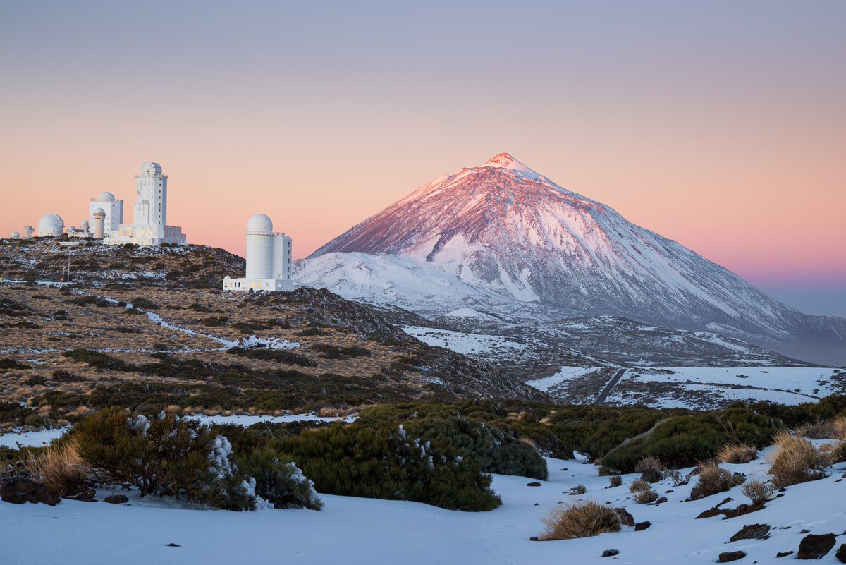 Efrén Yanes tweet media