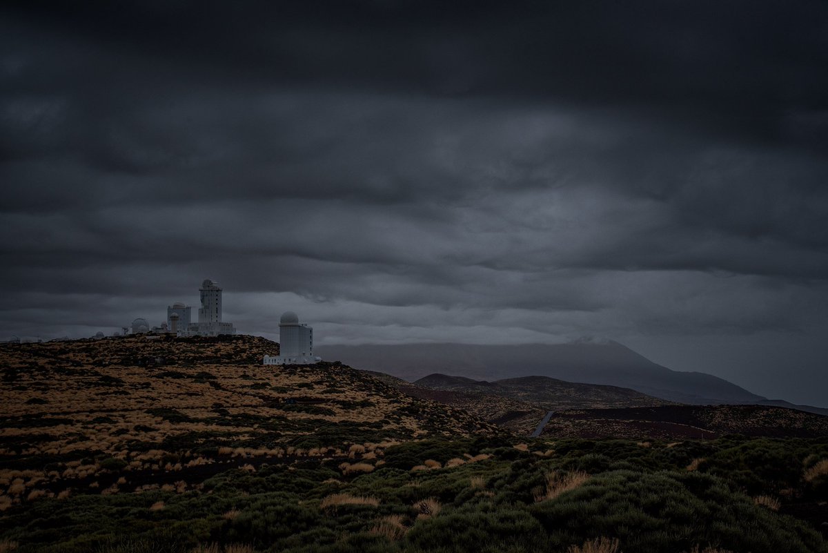 Efrén Yanes tweet media