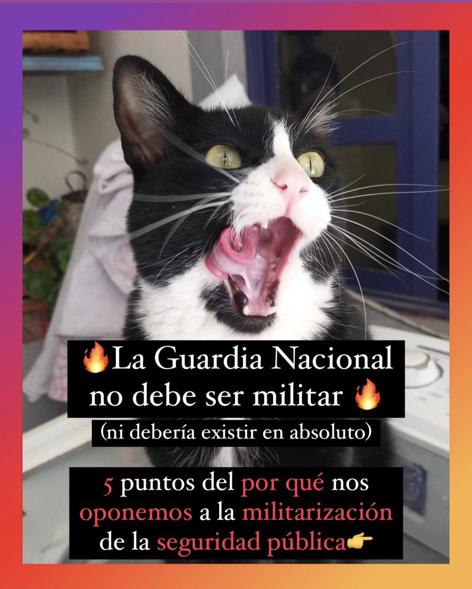 Miau. La Guardia Nacional no debe ser militar (ni debería existir en absoluto). 

¿Por qué? Porque la militarización aumenta la desigualdad. 

Les contamos más👇