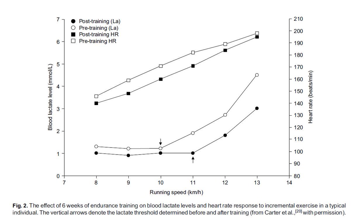 Gareth_Sandford's tweet photo. In just 6 weeks, you can lower lactate and heart rate for a given running speed.

Now you are fitter to run the same speed for a lower cost.

Training to do this just needs to be there consistently (2+ times a week).

But it does not stop because you improved,

Keep it moving. https://t.co/ST1juDXIVk