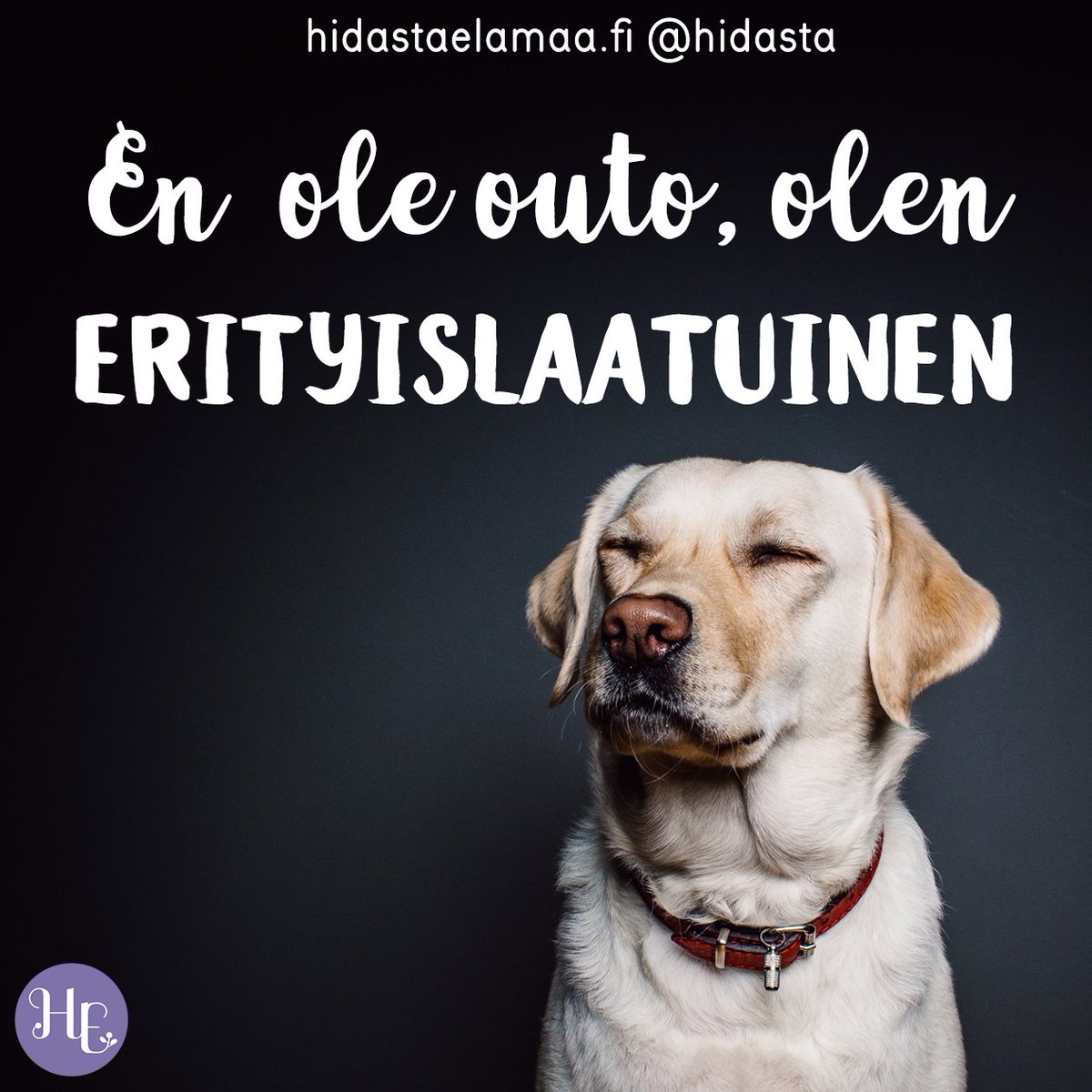 Kädet ylös kaikki erityislaatuiset🙋🏻‍♀️🙋🏻🙋‍♂️

#hidastaelämää #elämä #ihmisyys #erityislaatuinen
