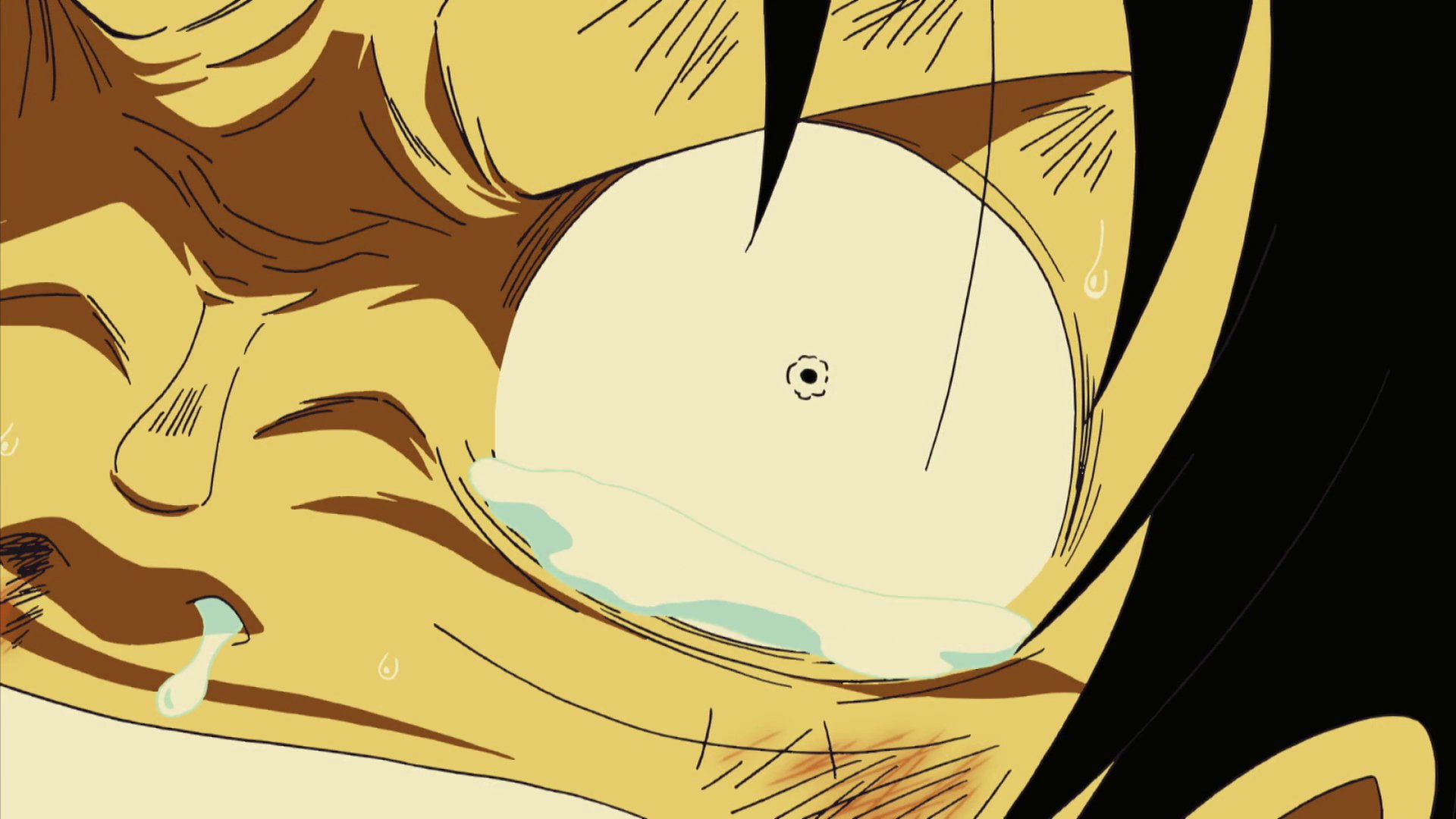 麦わらの一味 ANIMATION OF ONE PIECE on X: 