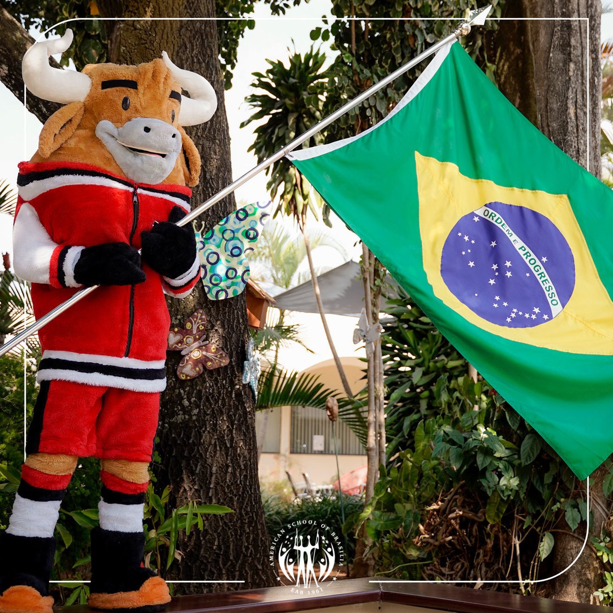 Feliz Dia da Independência do Brasil para todos os brasileiros e para todos aqueles que escolheram o nosso país como casa!