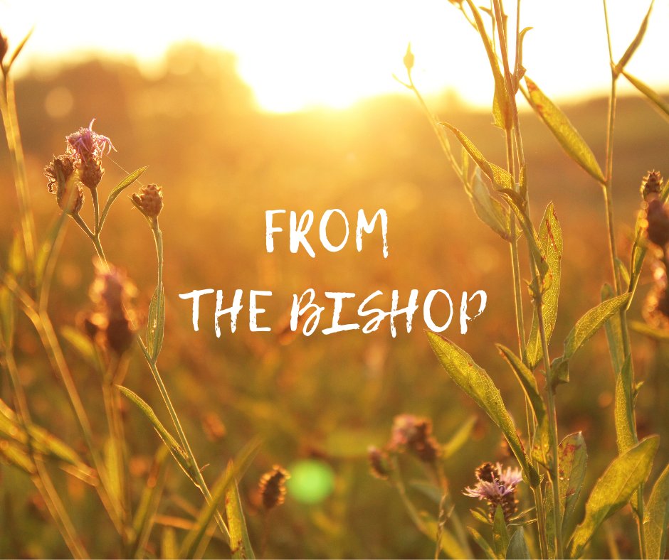 From the Bishop - Pacifica Synod Staffing Update
conta.cc/3qh3Ebc