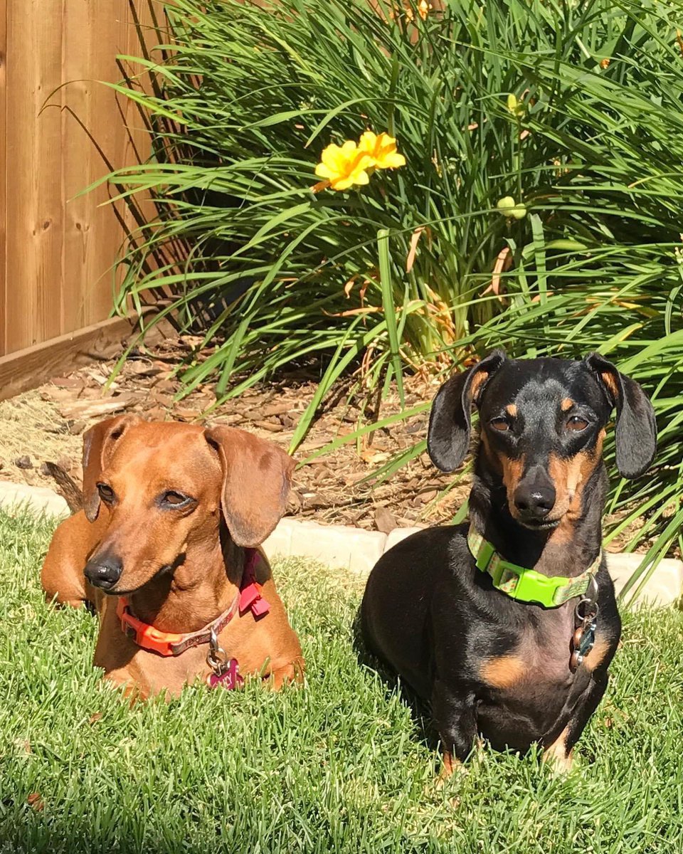 Cole Borth tweet media