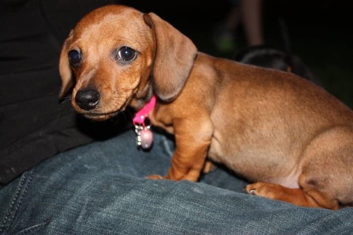 Cole Borth tweet media