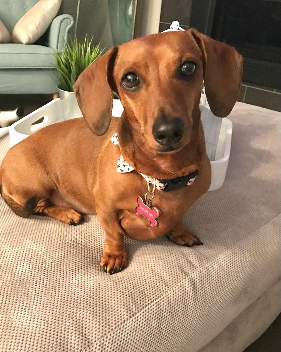 Cole Borth tweet media