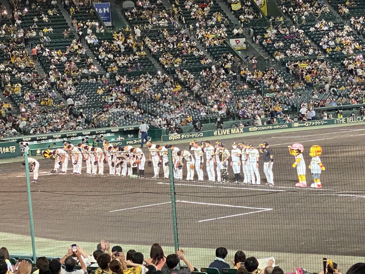chichotami's tweet photo. とらほ〜
今年全勝*\(^o^)/* https://t.co/BBtD7ypomo
