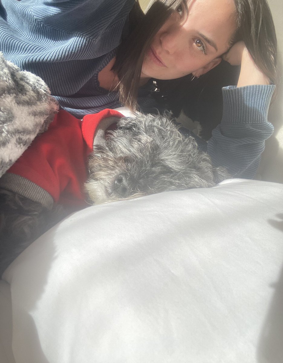 pequiplayera's tweet photo. Perro qlo me despertó 5am y ahora está raja #teamoigual #rayitosdesol https://t.co/e1dnQ0xA9A