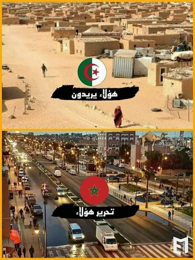 LahcenBouchouar's tweet photo. مليشيات البوليزاريو الذين يسكنون في مخيمات الذل والعجاج يريدون تحرير أهل #الصحراء_المغربية الذين ينعمون بالامن والأمان والرفاهية .
معادلة غير متوازنة https://t.co/pjlSro2M9x