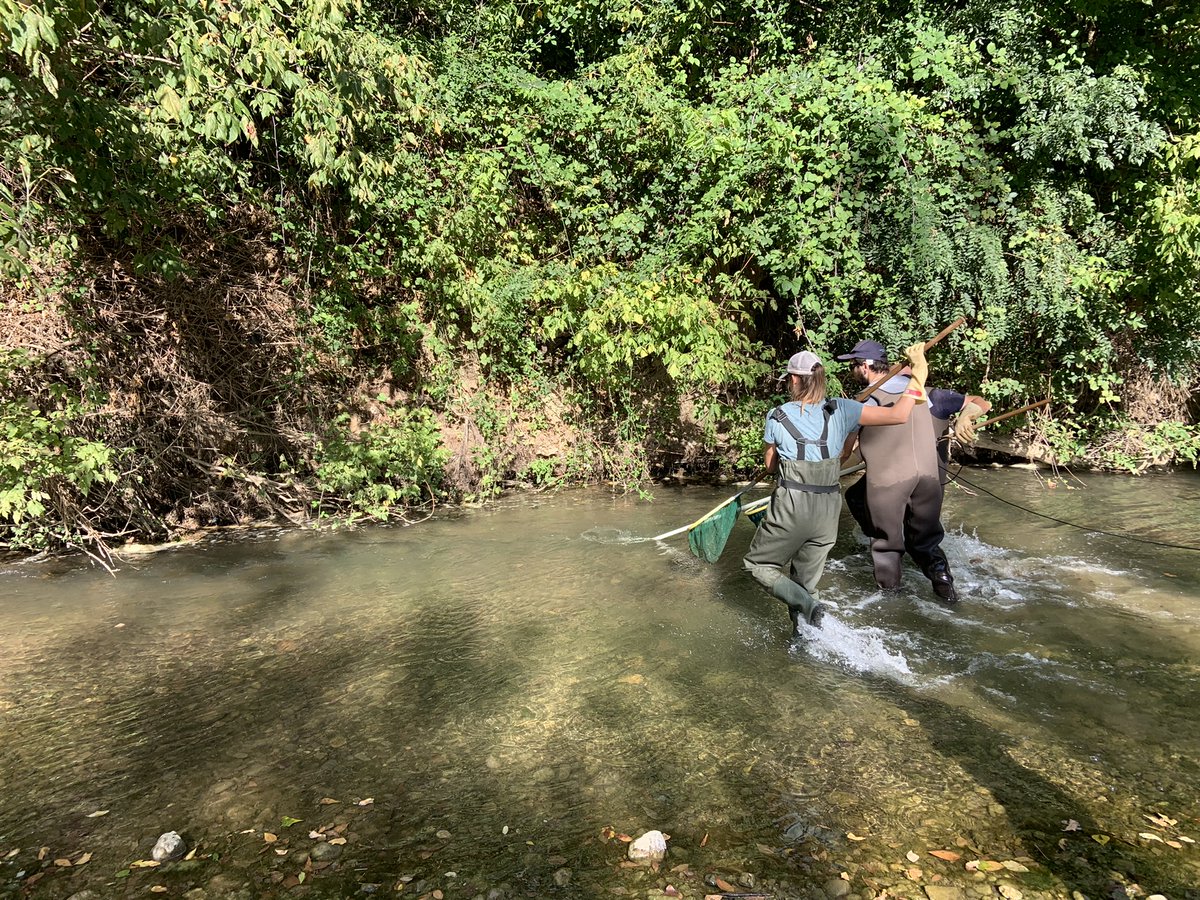 smmar_aude's tweet photo. EN ACTION | Les techniciens du SMMAR EPTB Aude sont allés à la rencontre des milieux aquatiques de l'#Orbieu avec la Fédération de l'Aude pour la #Pêche & la Protection du Milieu Aquatique.🐟 Objectifs : mieux connaître la population #piscicole & échanger avec les acteurs🤝🐠 https://t.co/NfuCDkrFWU
