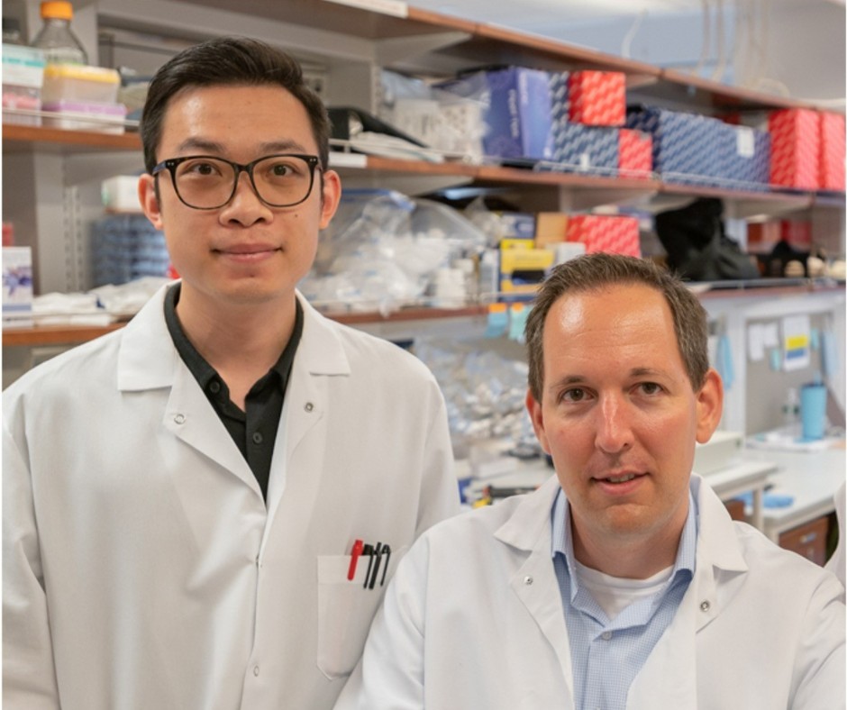 A team led by Drs. Greg Sonnenberg and Mengze Lyu of @WCM_GI and @WCM_IBD identified special immune cells that play an essential role in protecting the gut from inflammation. The findings suggest potential new strategies for treating bowel disorders. bit.ly/3BdPBcW