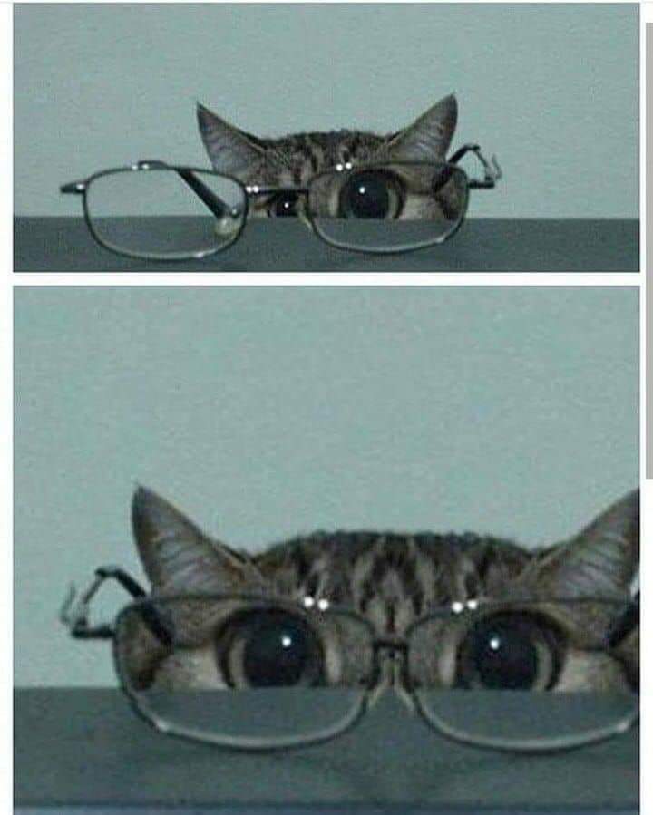 AnimalesContext's tweet photo. https://t.co/Emji0f9pa5