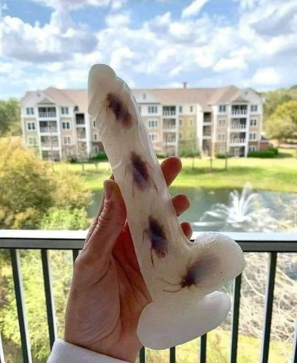 schleeey tweet media