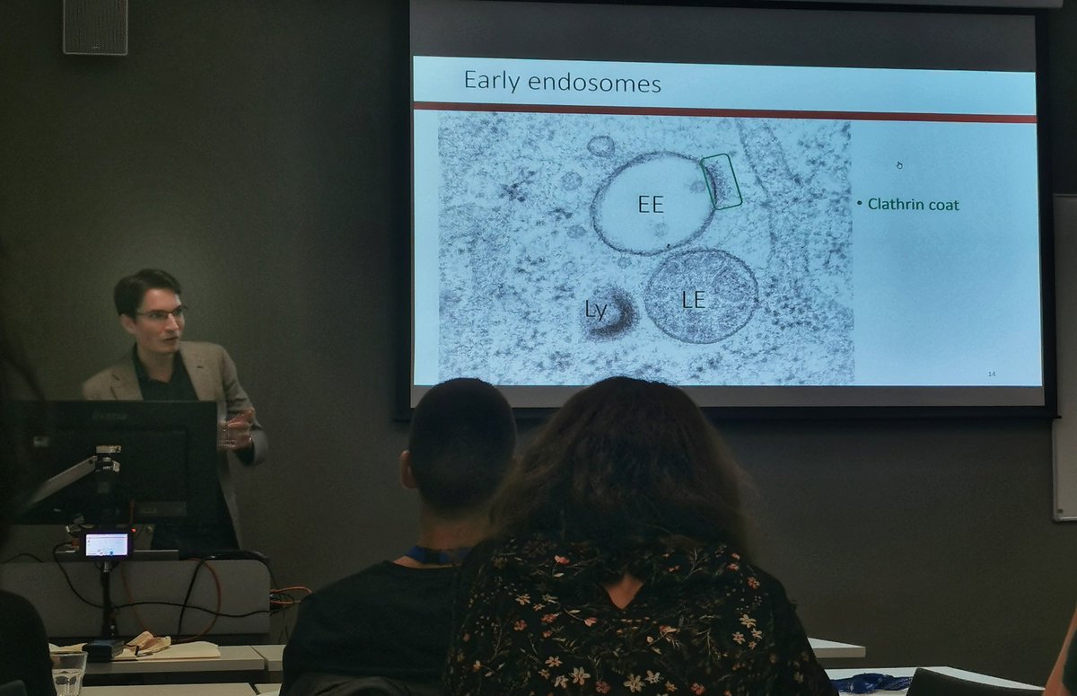 ESGLD_tweets's tweet photo. Now we host @JA_Beek, who's teaching us novel lessons with the good old tools (🔬). 

Wanna check the whole endolysosomal biogenesis pathway under the electron microscope lens? 🧐

❕Stay tuned for this exciting talk 🤗 https://t.co/LI8MJTsM1B