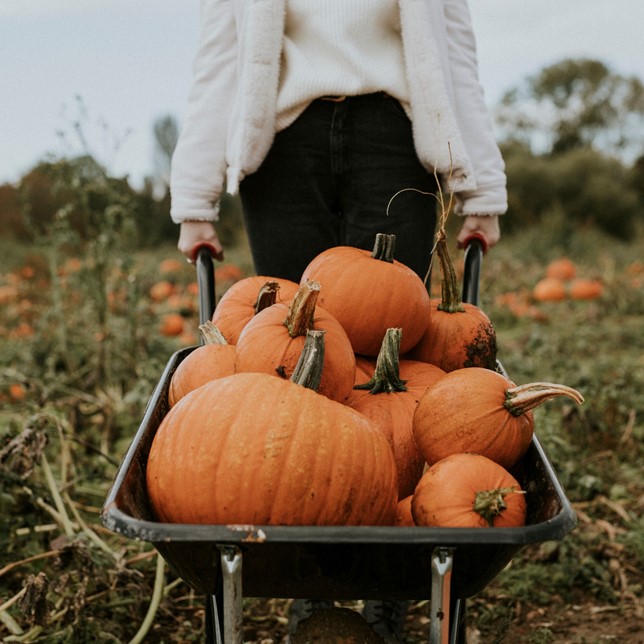 JoyFul is back this year! We are excited to host FALL FESTIFUL, featuring the largest farmer's market in the country, on Oct 5th!
...
#fallfestifulvibes #chartwellsjoy #joyfulatSMSU #mustangdining #smsu #chartwellshighered #chartwellscentral