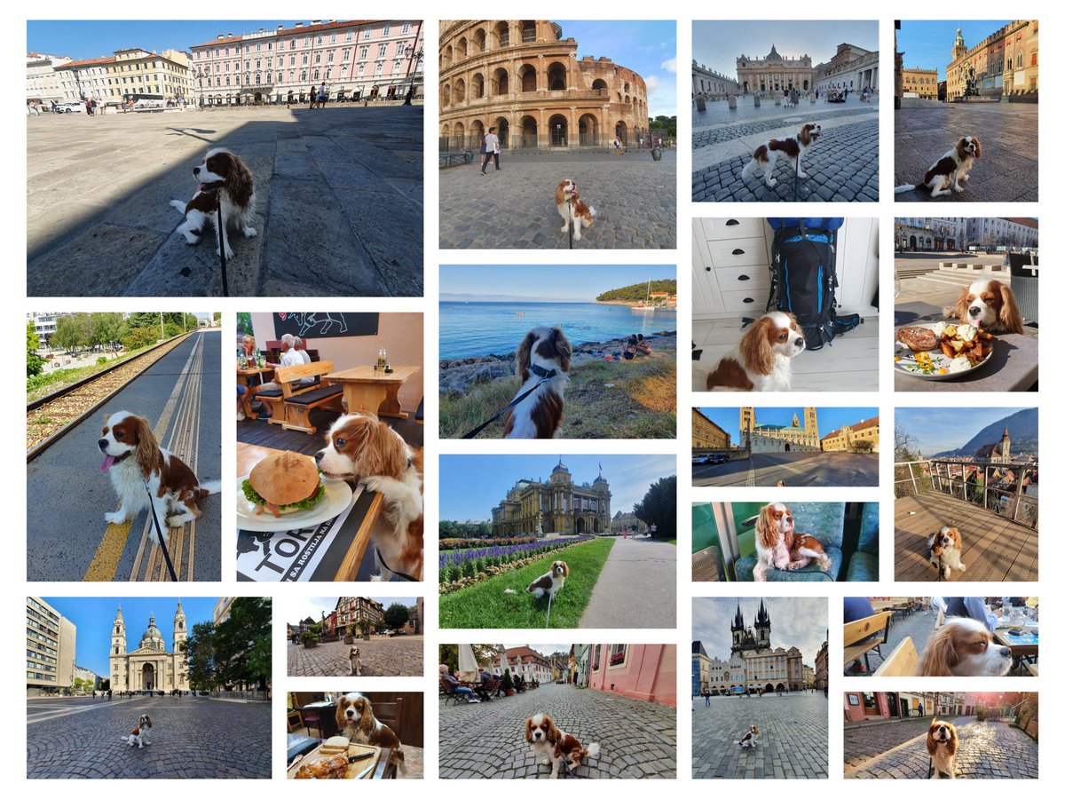 RJonTourUK's tweet image. It's a year since Henry 🐶 had a permanent bowl position and departed Stroud on our now year long adventure.
Travel with a dog is great fun but has its moments.
rjontour.com/travelling-wit… #travchat #travelwithdogs #dogsoftwitter #dogstyle