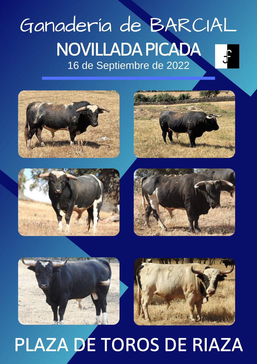 NOVILLADA PICADA
Viernes 16/09/2022, novillos de la ganadería de #Barcial en la #PlazaDeTorosDeRiaza para los diestros <a href="/PabloAtienza1/">Pablo Atienza</a> Eusebio Fernandez y Jesus de la Calzada 
#Riaza #Segovia #FestejosTaurinos